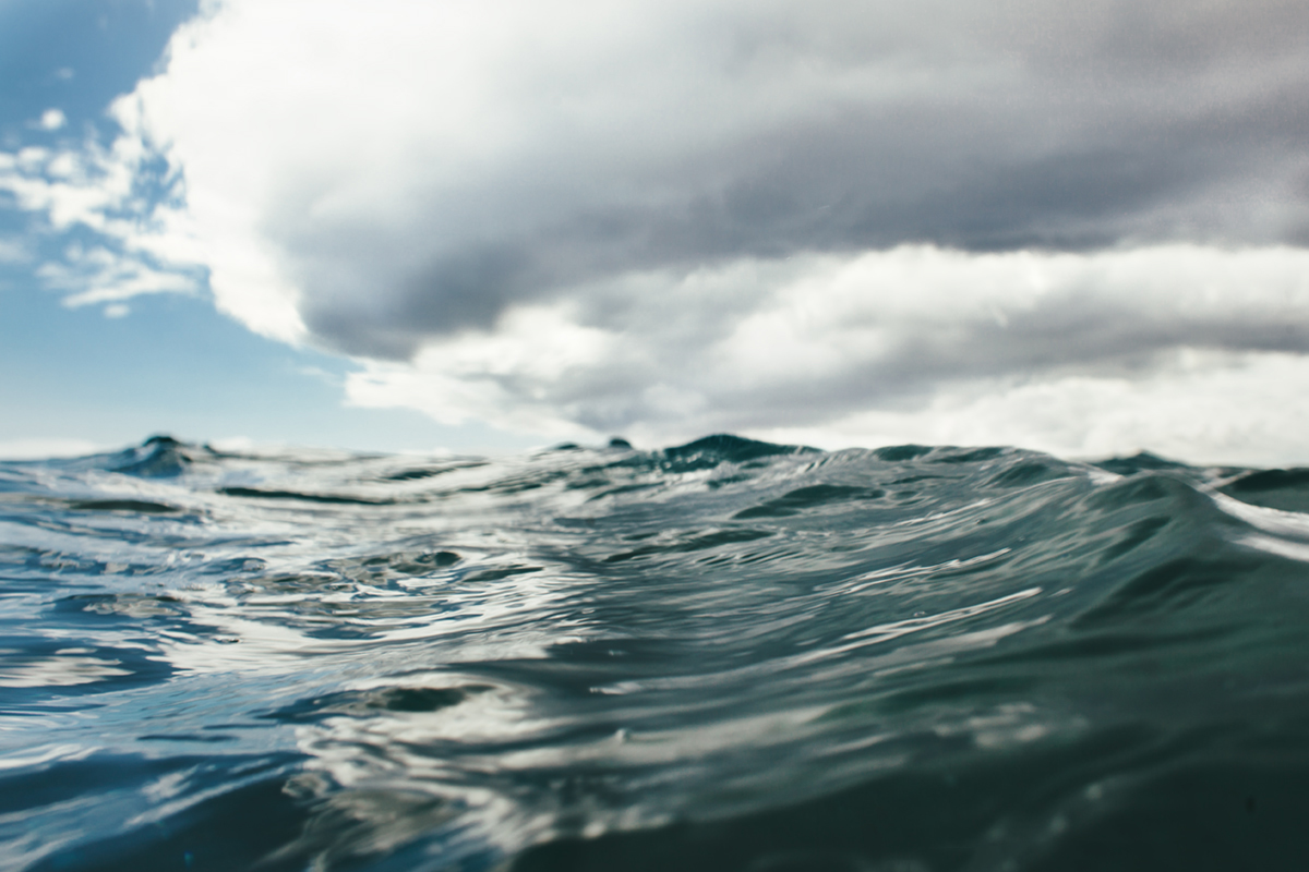 © Summer Murdock | Underwater Photography