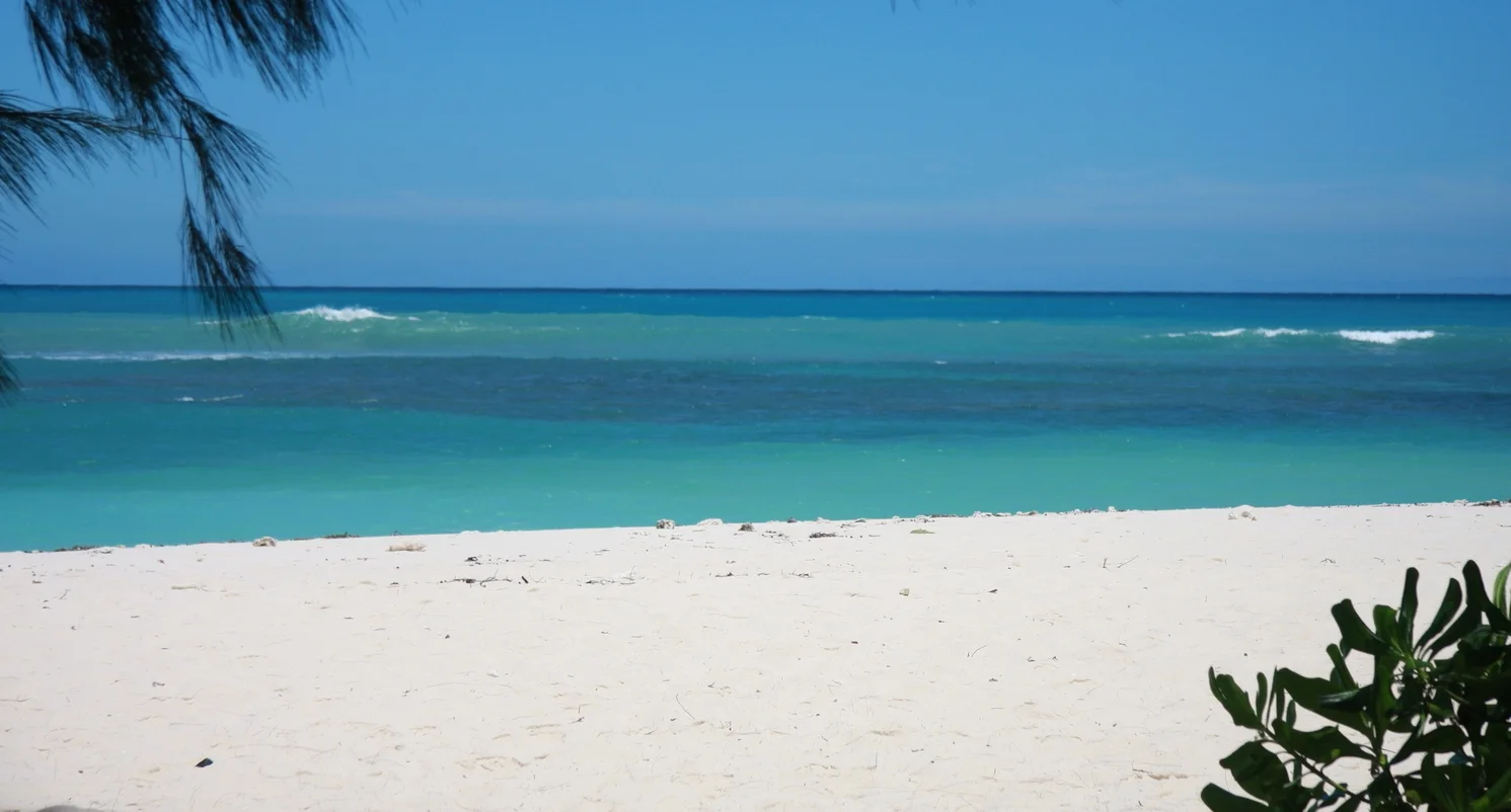 Seychelles 0188 2010_05_06.JPG