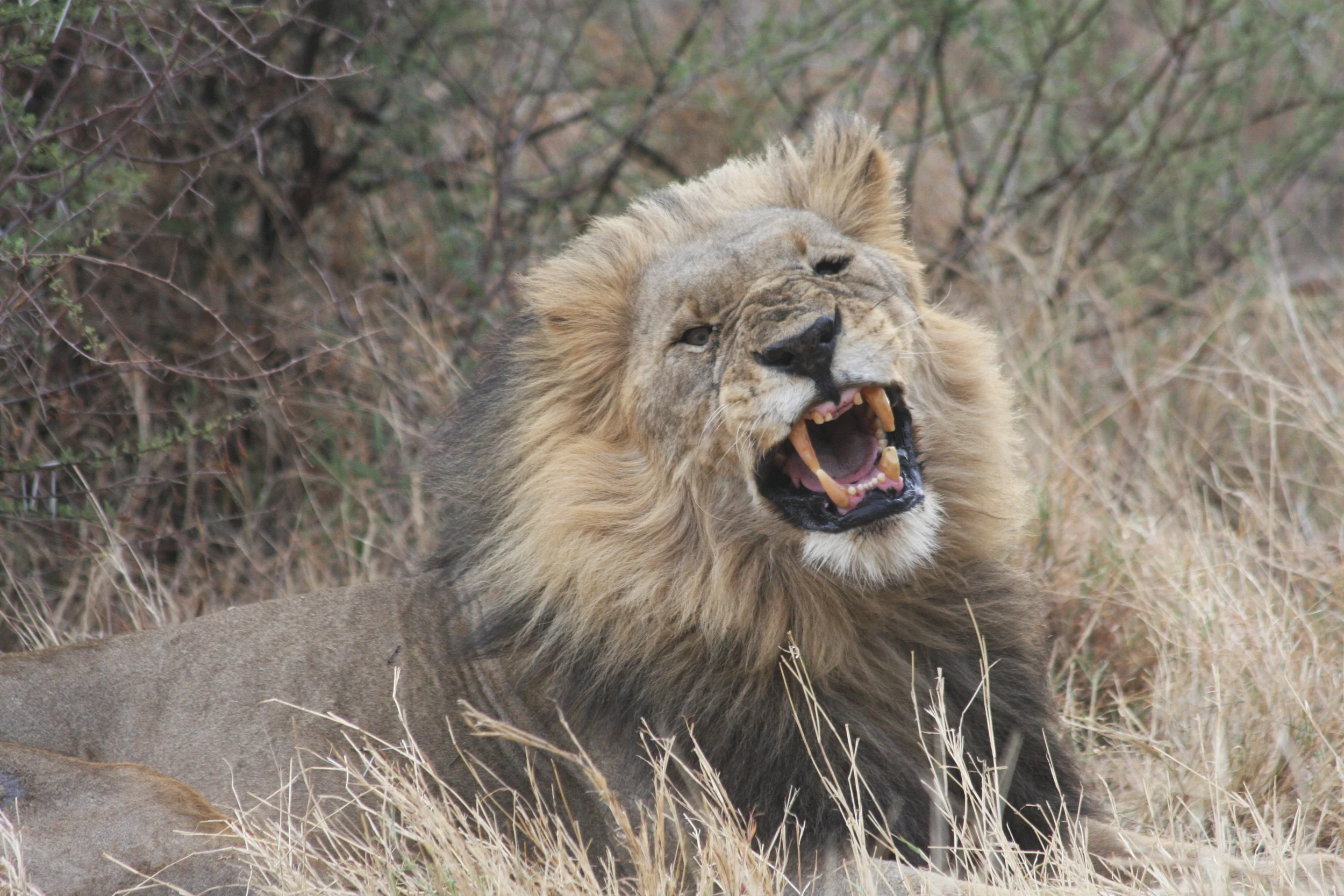  We know the wild side... 