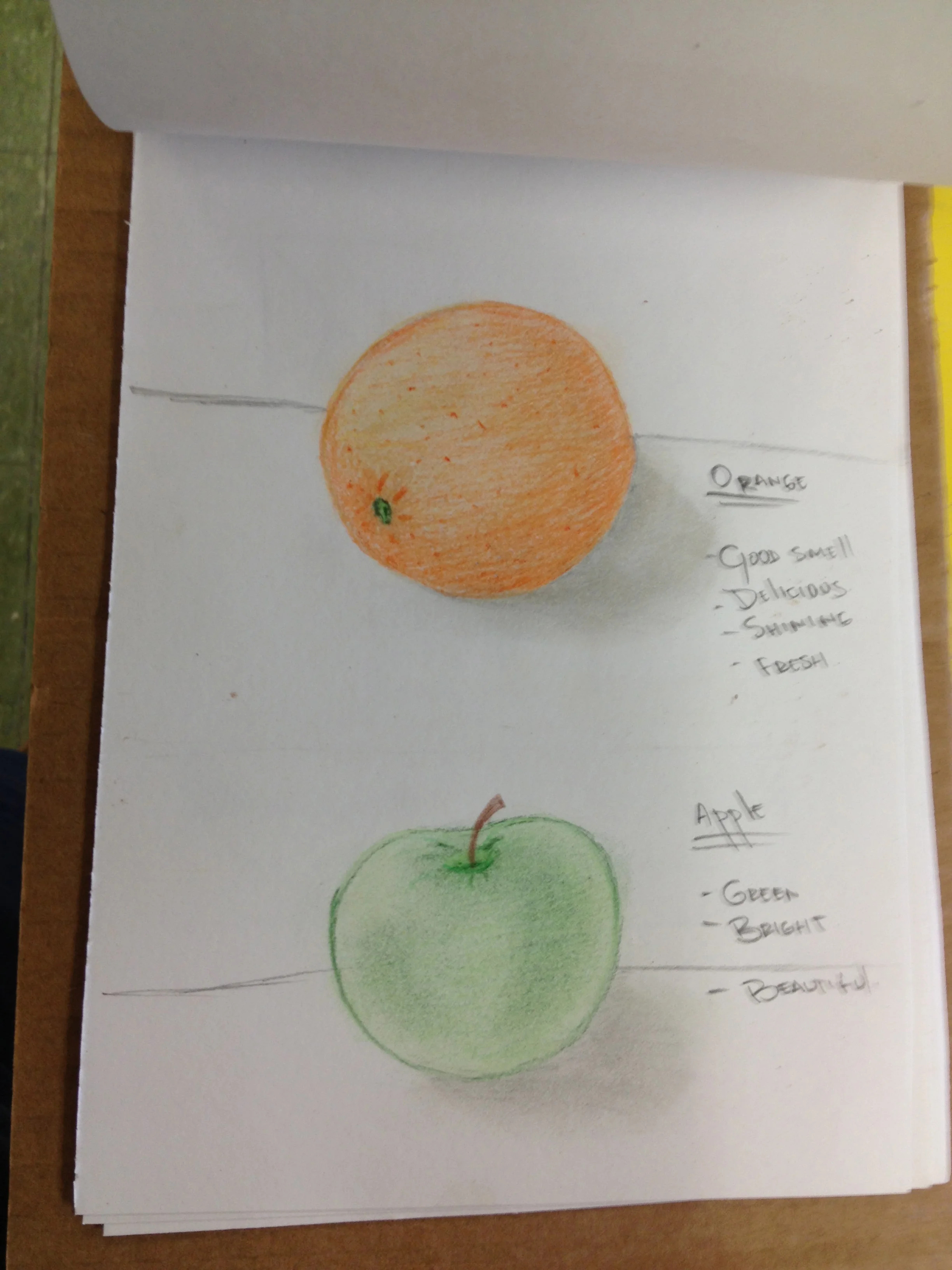 Preliminary drawings