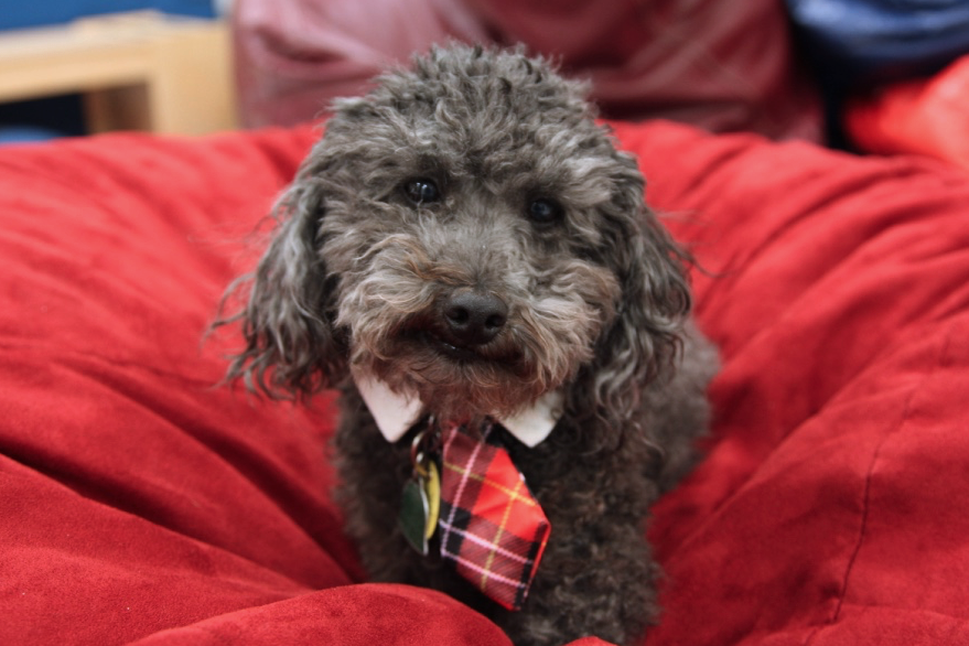 The Children's Therapy Center