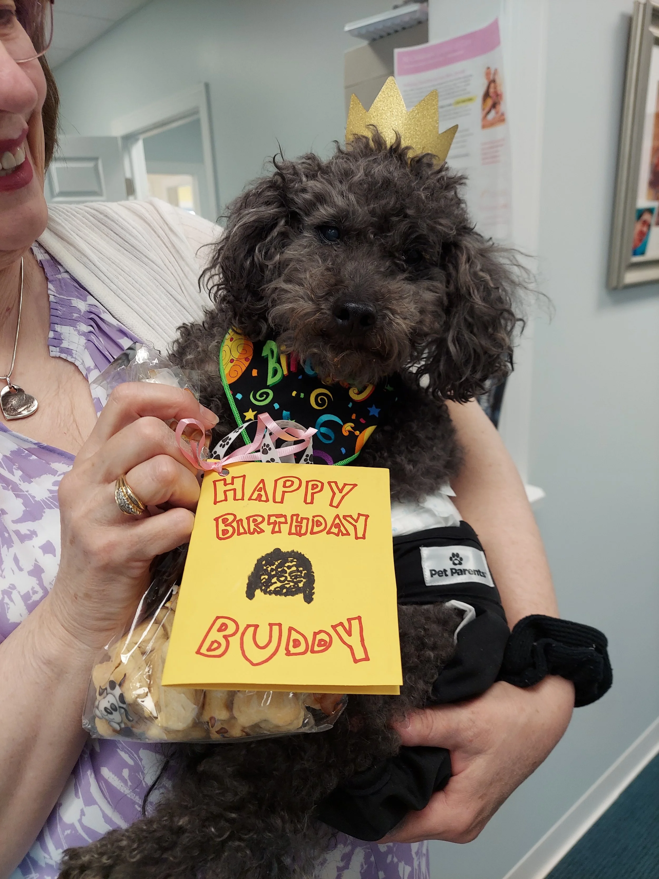 The Children's Therapy Center