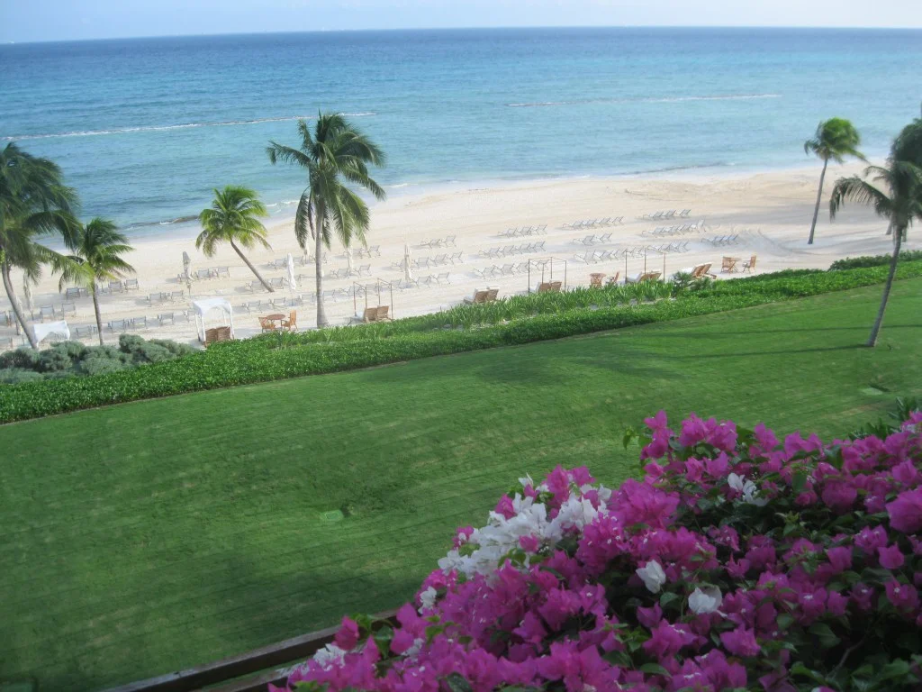 Grand Velas Ocean View