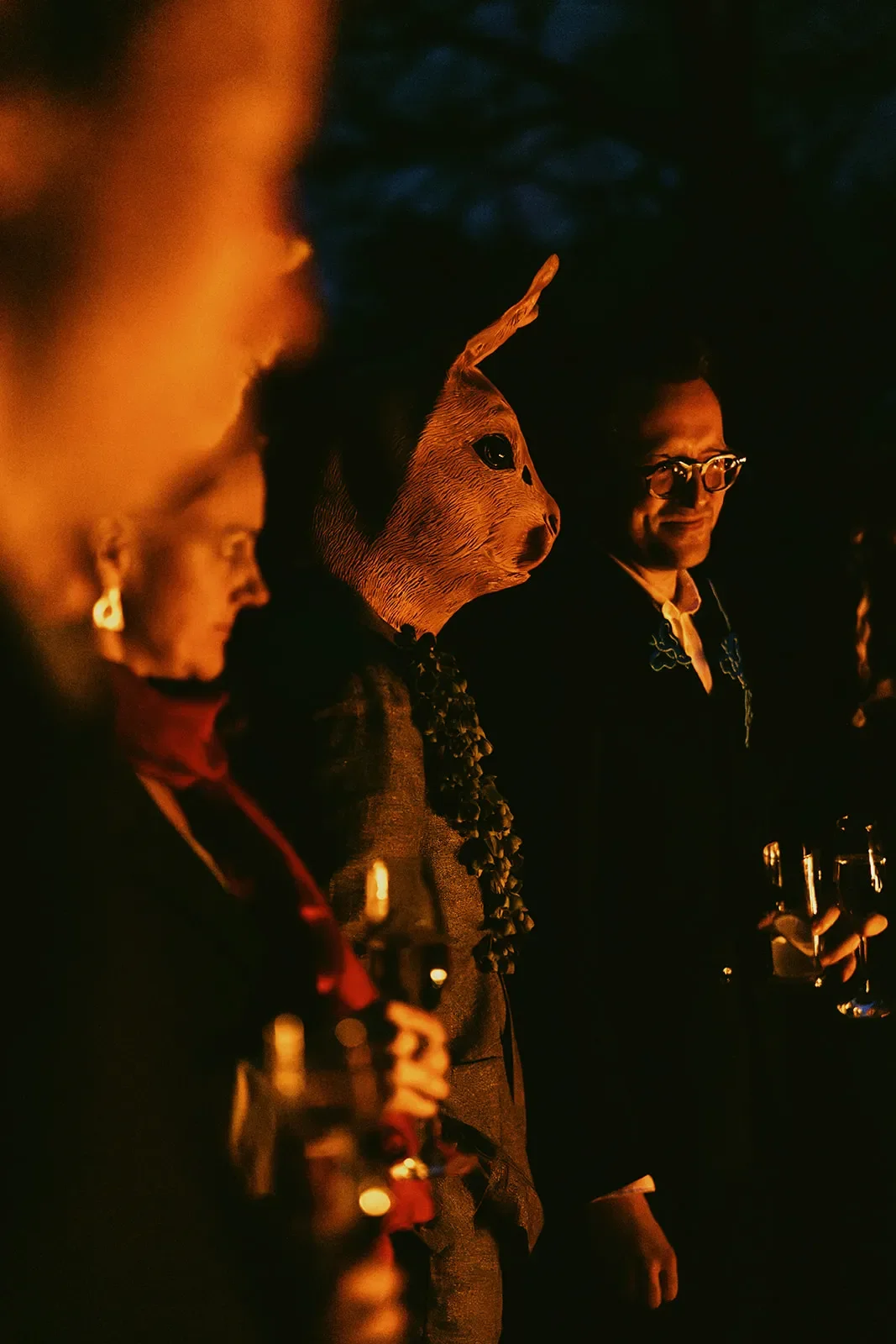 A hare appeared fleetingly by the bonfire.jpg.webp