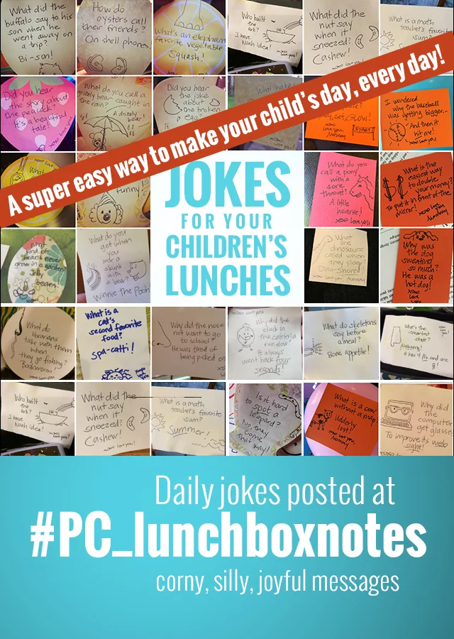 PC_lunchboxnotes_pin.jpg