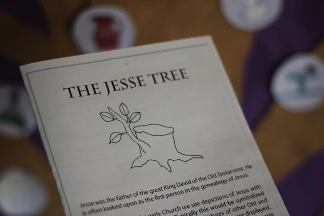 PC_jesse3.jpg