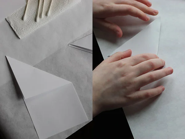 PC_daffodils_folding.jpg