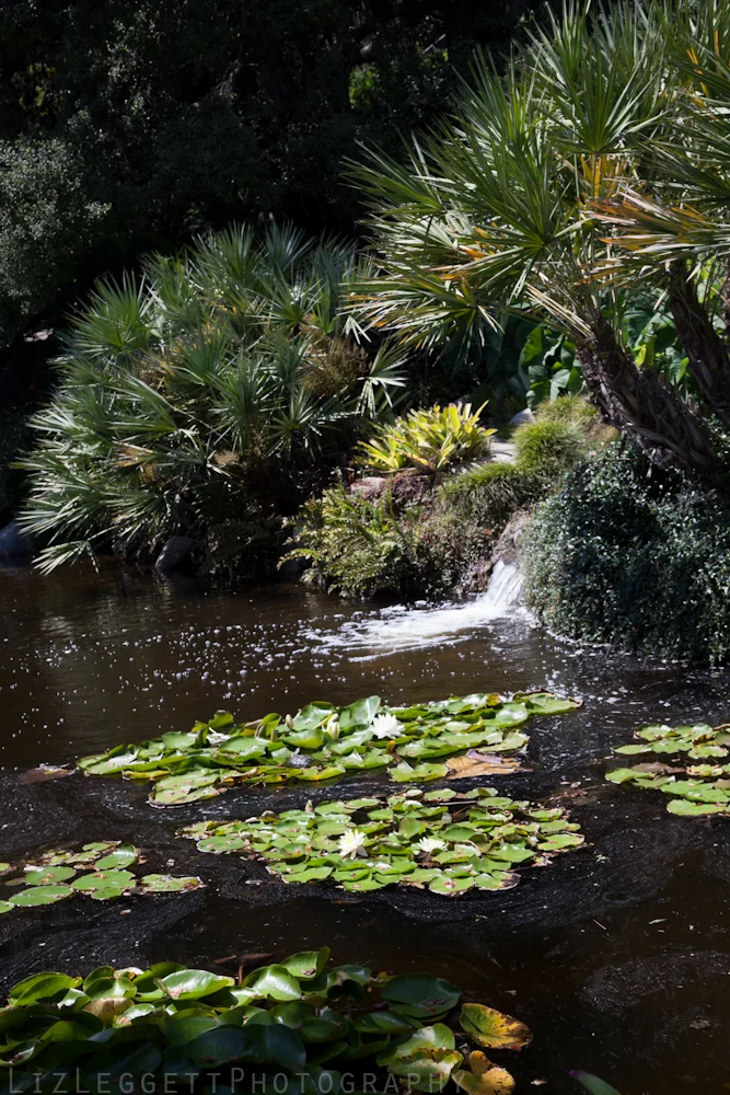 2013_liz_leggett_photography_huntington_gardens_watermarked-9747.jpg