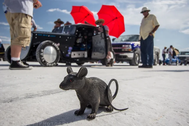 2012_Bonneville_August_12_Sympatico_Edits_RACECARS_watermark-26.jpg