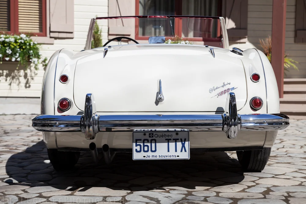 2014_liz_leggett_photography_Austin_Healy_Watermarked-0251.jpg
