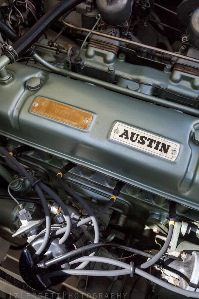 2014_liz_leggett_photography_Austin_Healy_Watermarked-0268.jpg