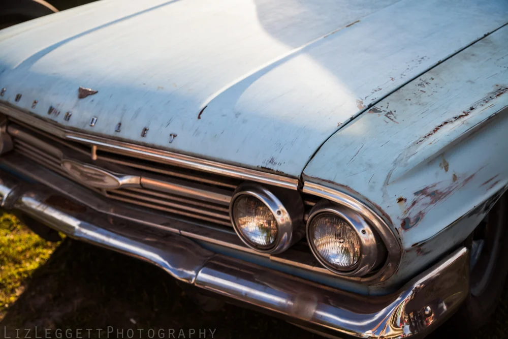 2015_Hot_Rod_and_Kustom_Rumble_Rigaud_watermarked-8518.jpg