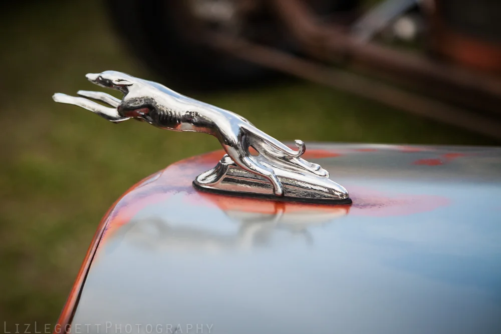 2015_Hot_Rod_and_Kustom_Rumble_Rigaud_watermarked-8582.jpg