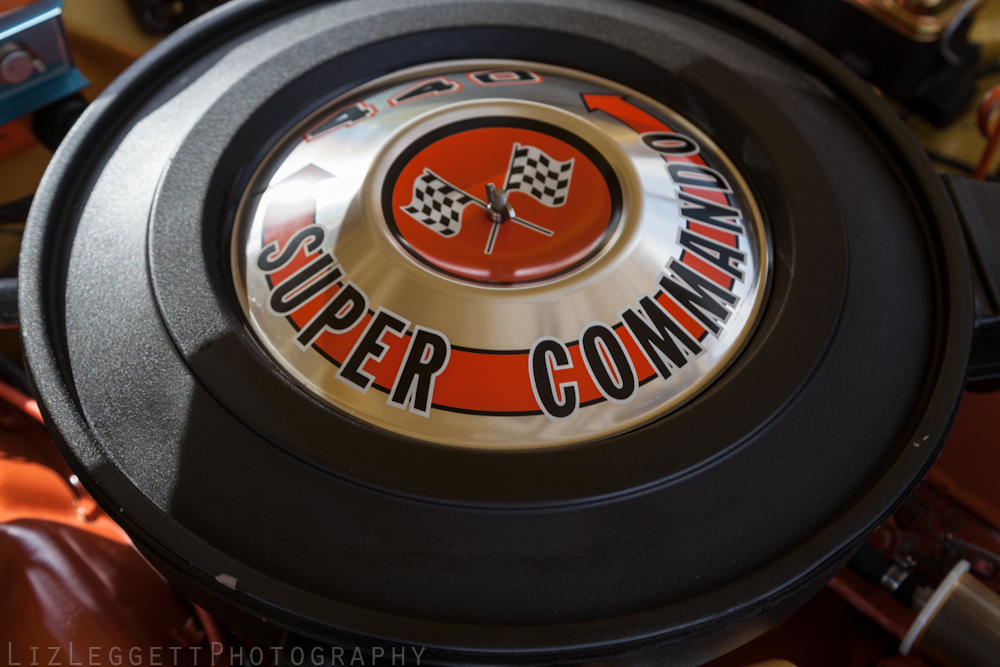 2016_Liz_Leggett_Photography_EnglishtownSwapmeet_WATERMARKED-4562.jpg