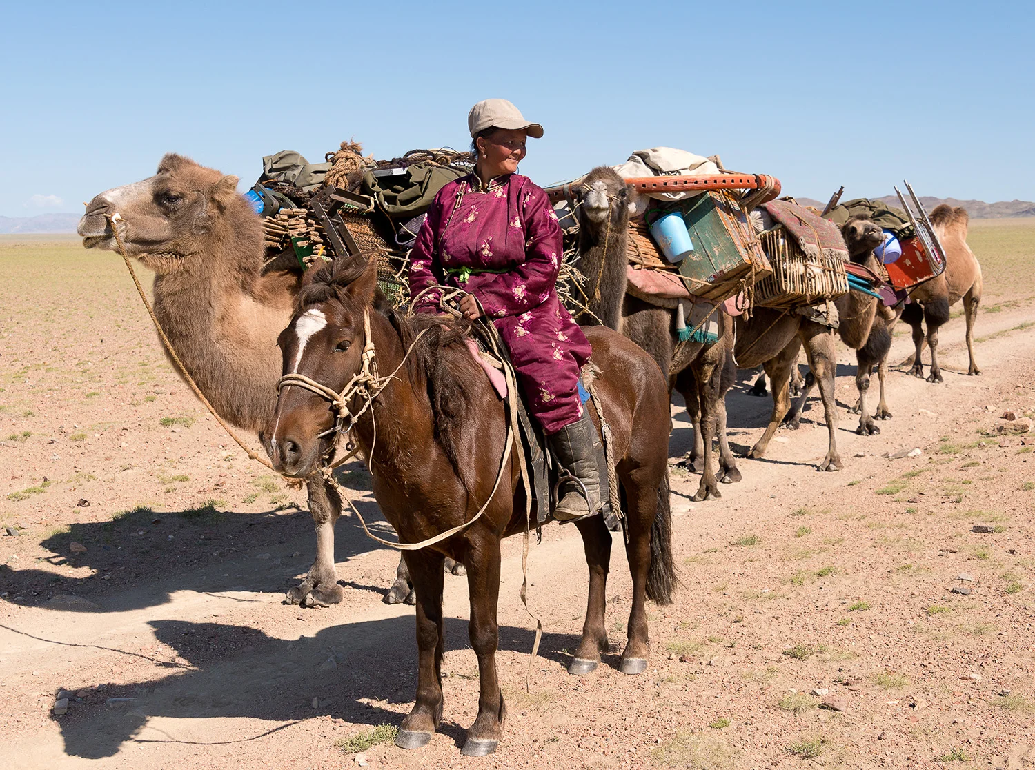 Moving House, Western Mongolia