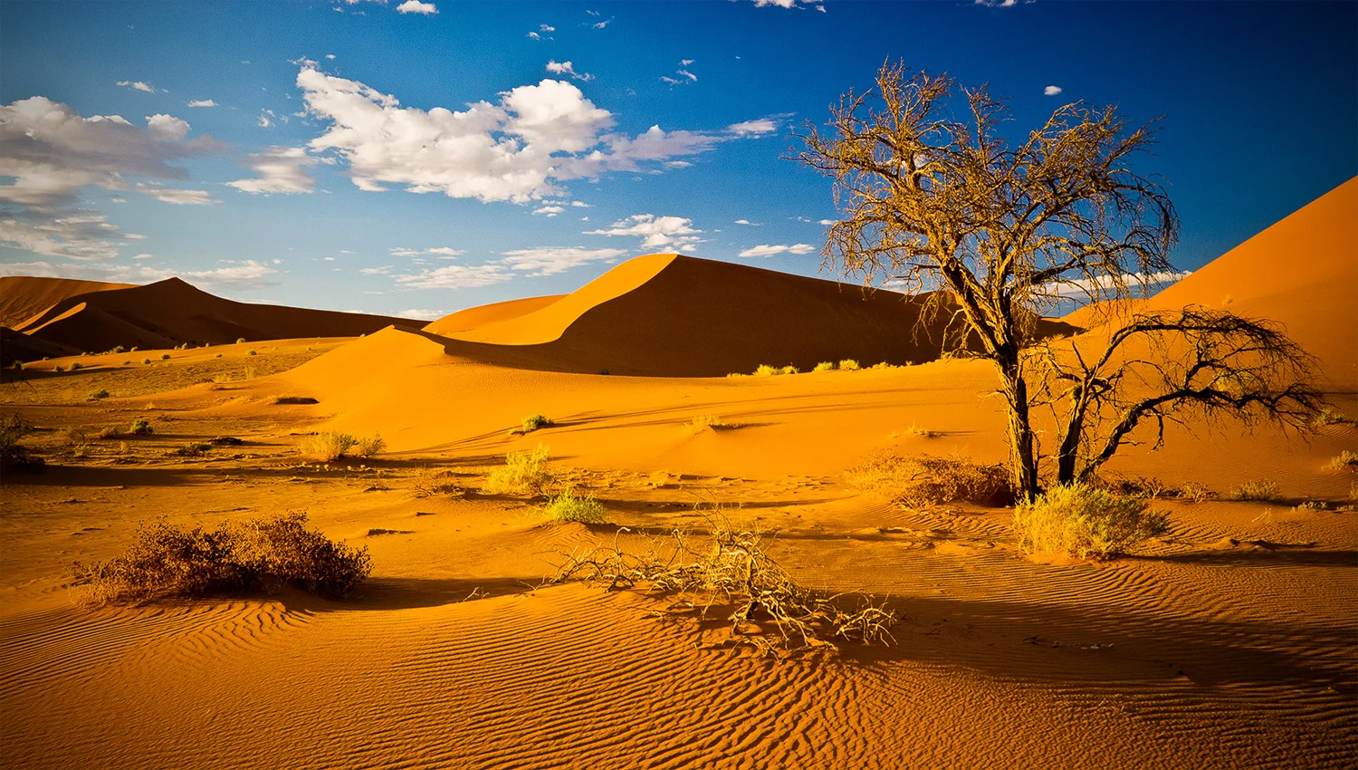 Near Hidden Vlei, Nambia