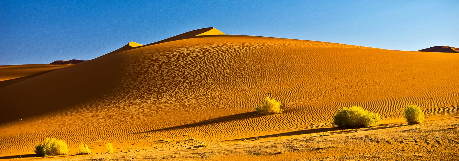 Dune near Hidden Vlei, Namibia