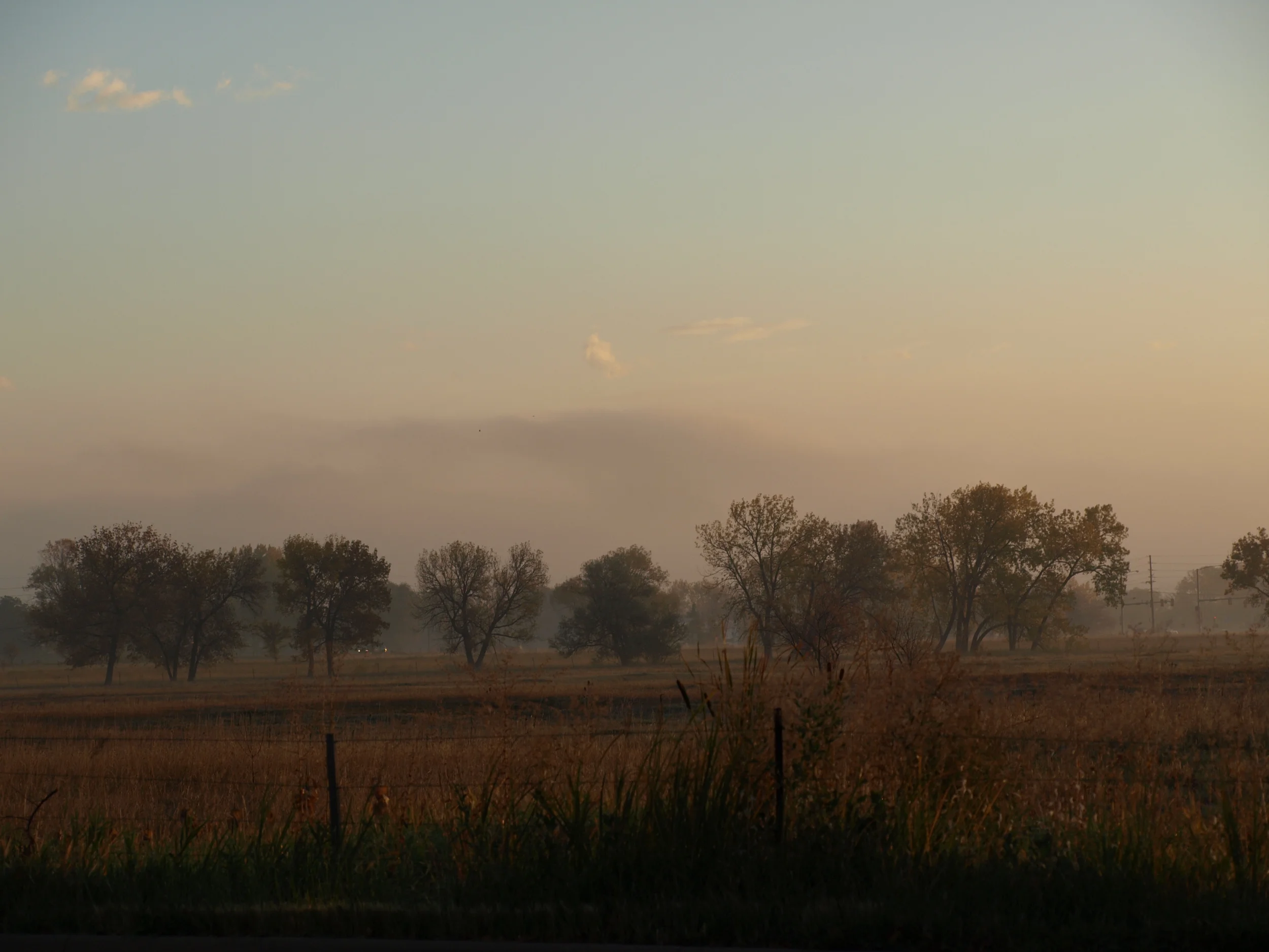 PA200905.JPG