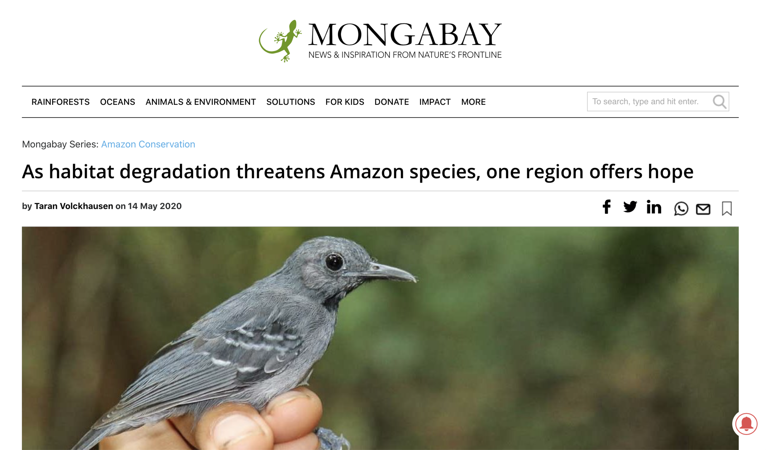  Mongabay features Lesley’s recent  publication  on the Rupununi portal in Guyana.  