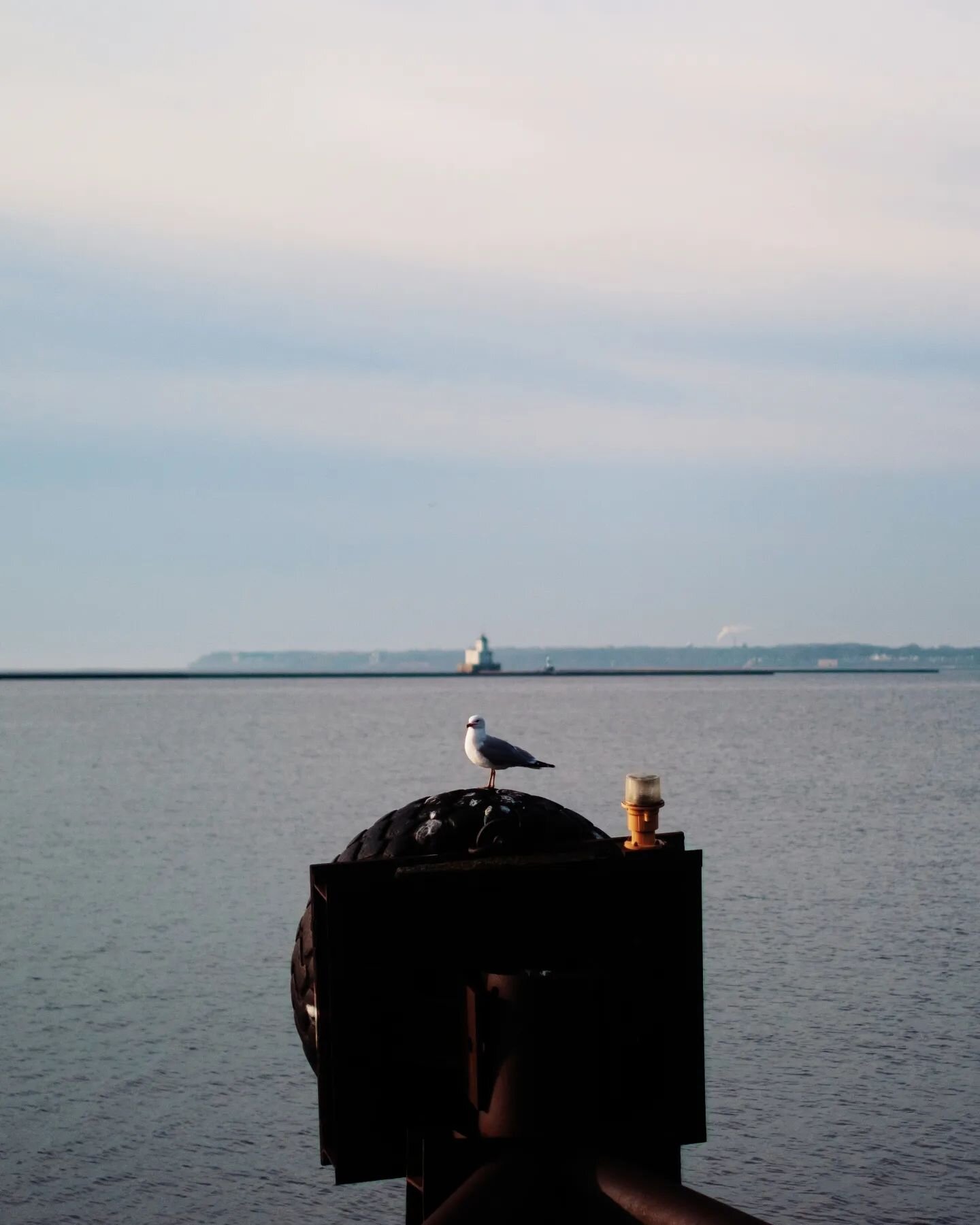 To Be a Bird by @musicariza. 

...
#photography #fujinon35mmf14 #fujifilm #fujixt30 #milwaukee