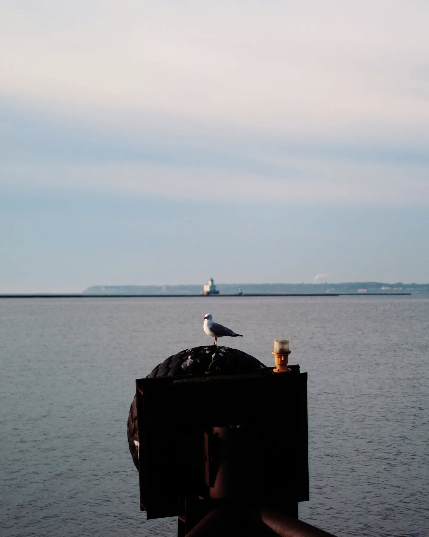 To Be a Bird by @musicariza. 

...
#photography #fujinon35mmf14 #fujifilm #fujixt30 #milwaukee