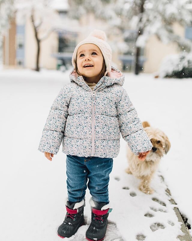 I was so stir crazy yesterday I decided to take Hazel out in the snow which I NEVER do because I don&rsquo;t like to be in the snow much. While out there I snapped a few pictures. My baby girl is getting so big!