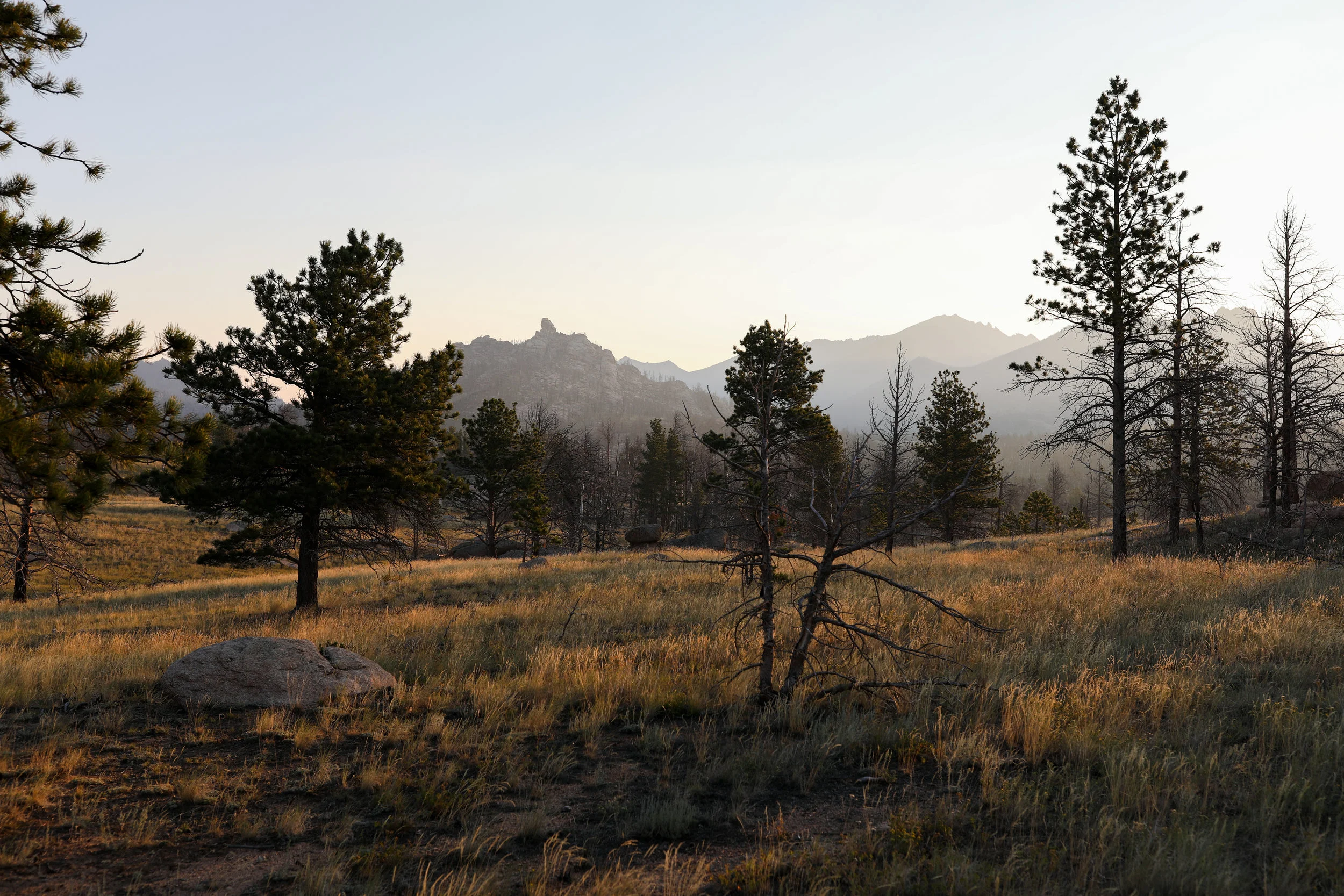 Medicine Bow National Forest, Wyoming
