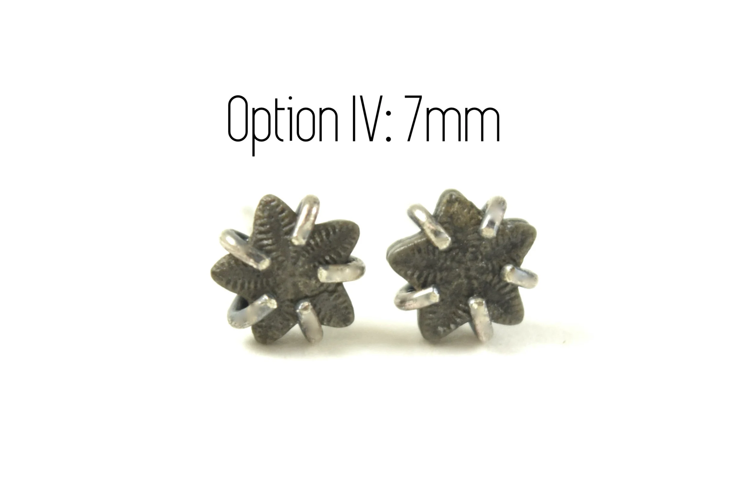 Crinoid Star Fossil Earrings 9-25 IV.jpeg