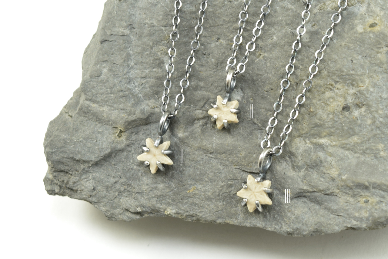 Light Star Crinoid Necklaces June 2026 (1) copy.png