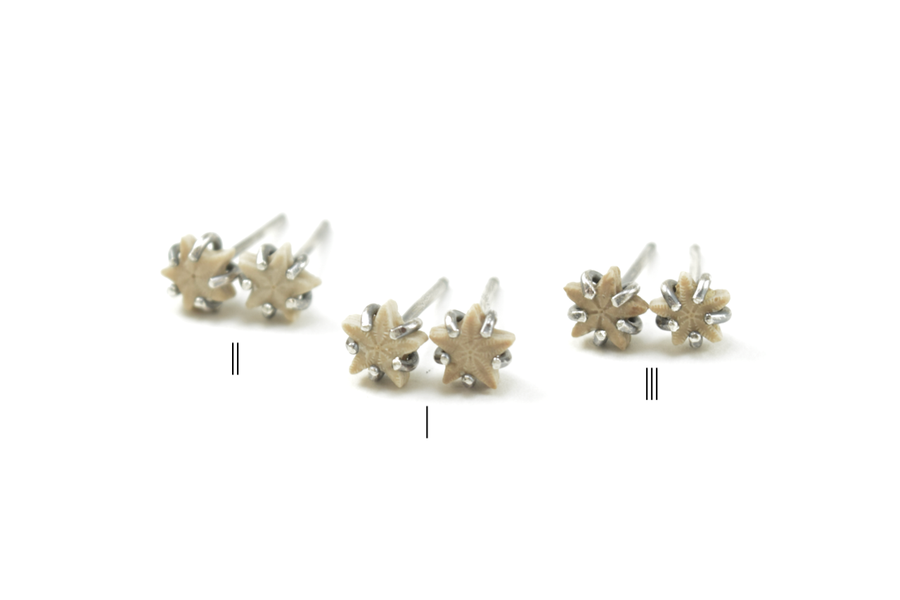 Light Crinoid Star Earrings June 2026 (1) copy.png