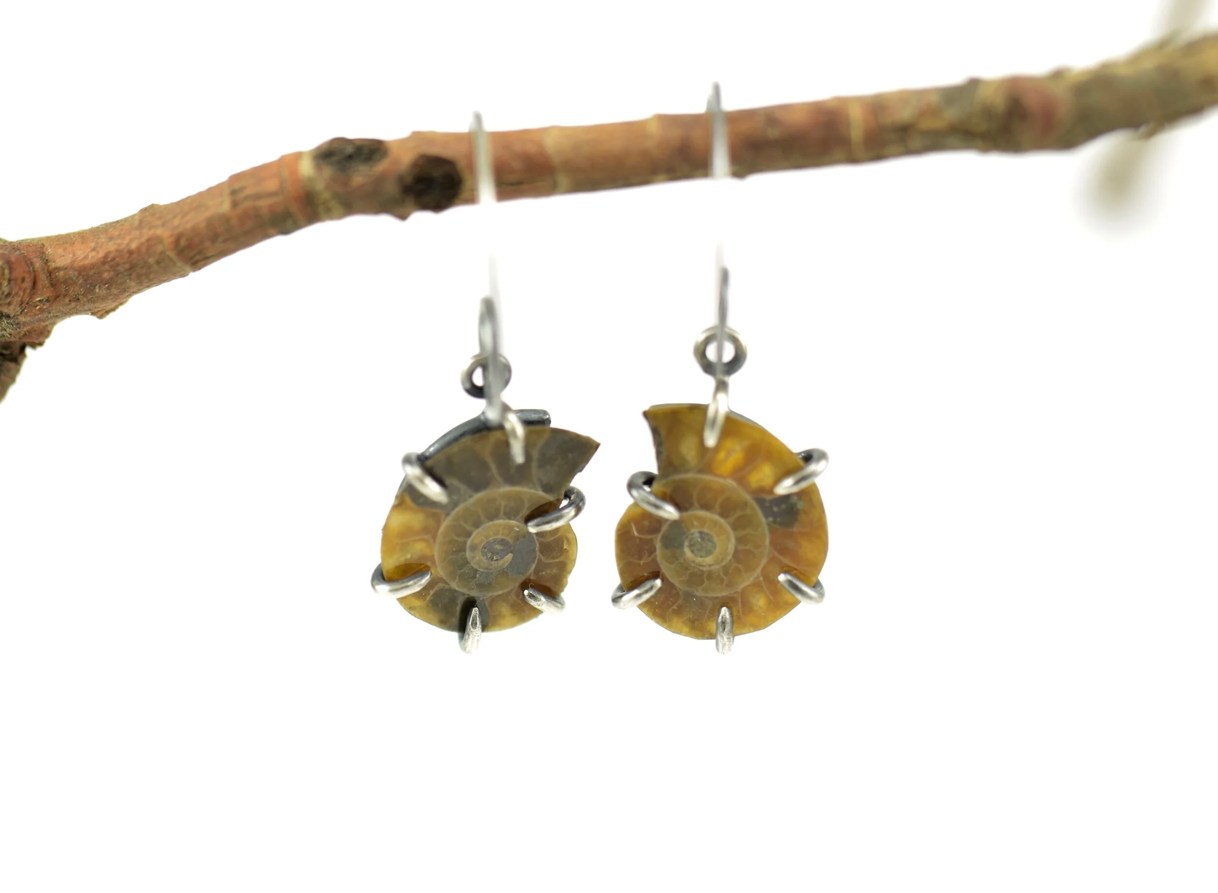Ammonite Earrings - A