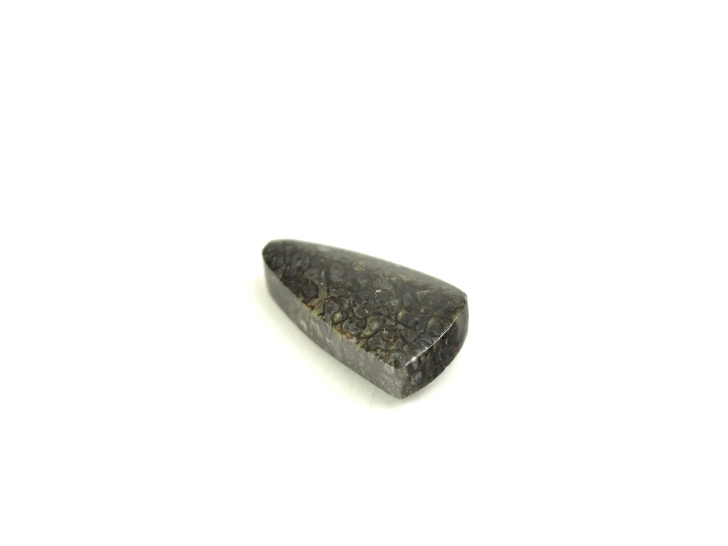 Dinosaur Bone Spike Cabochon