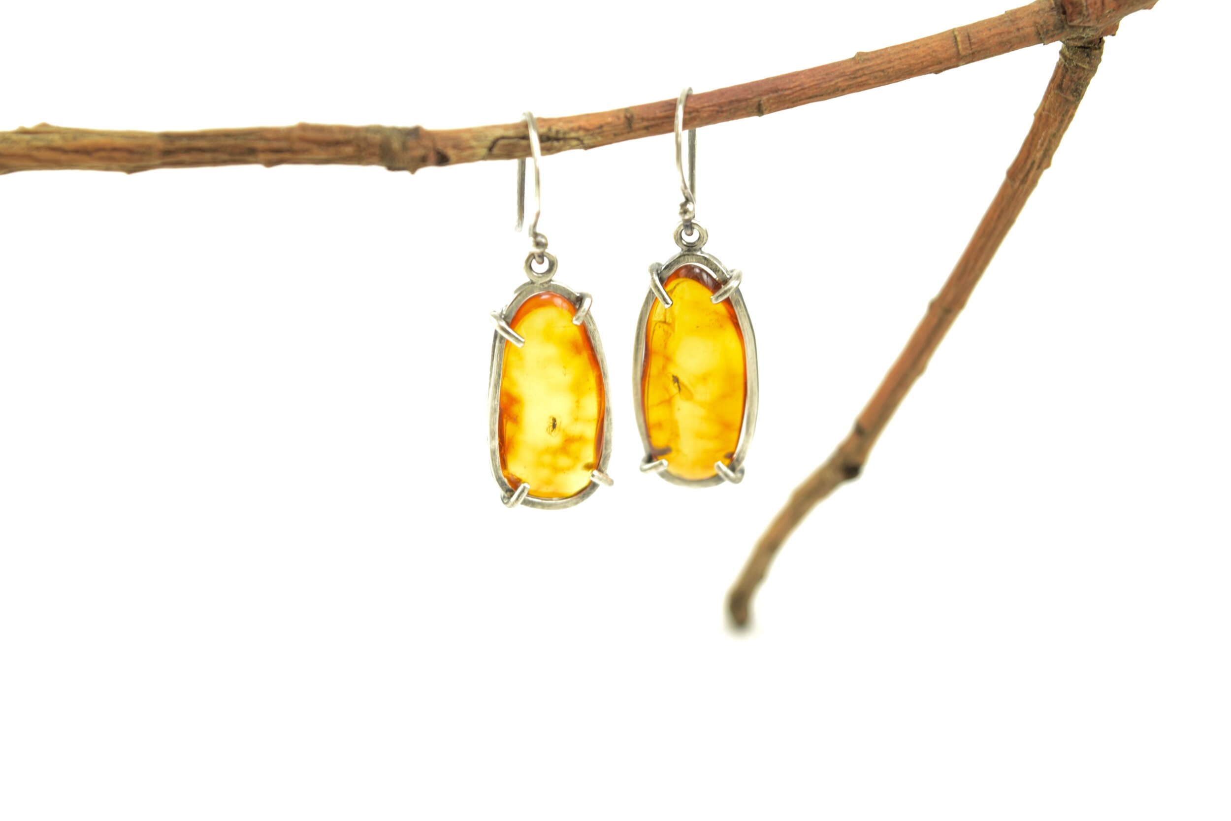 Baltic Insect Amber Earrings
