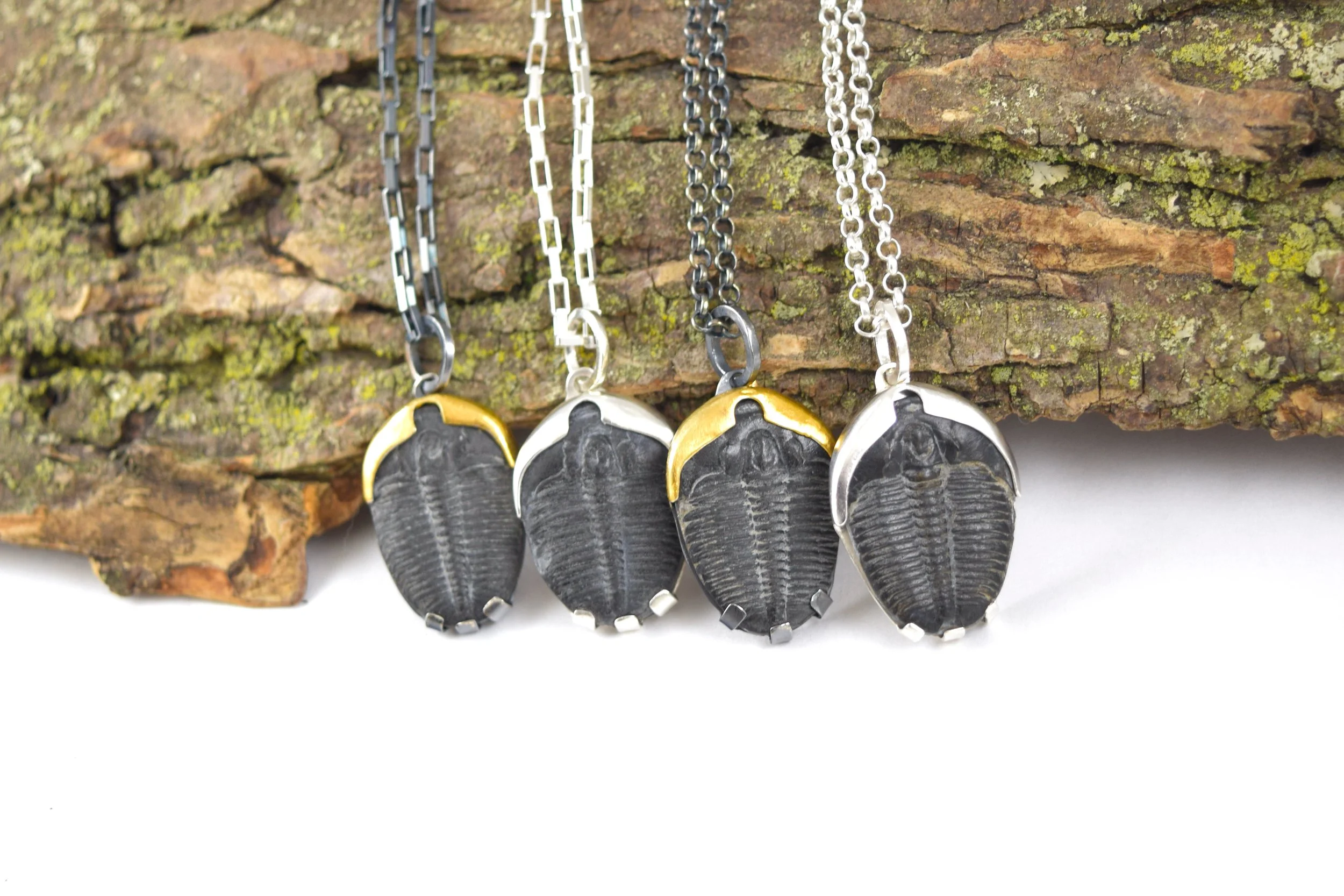 The Fossil Collection