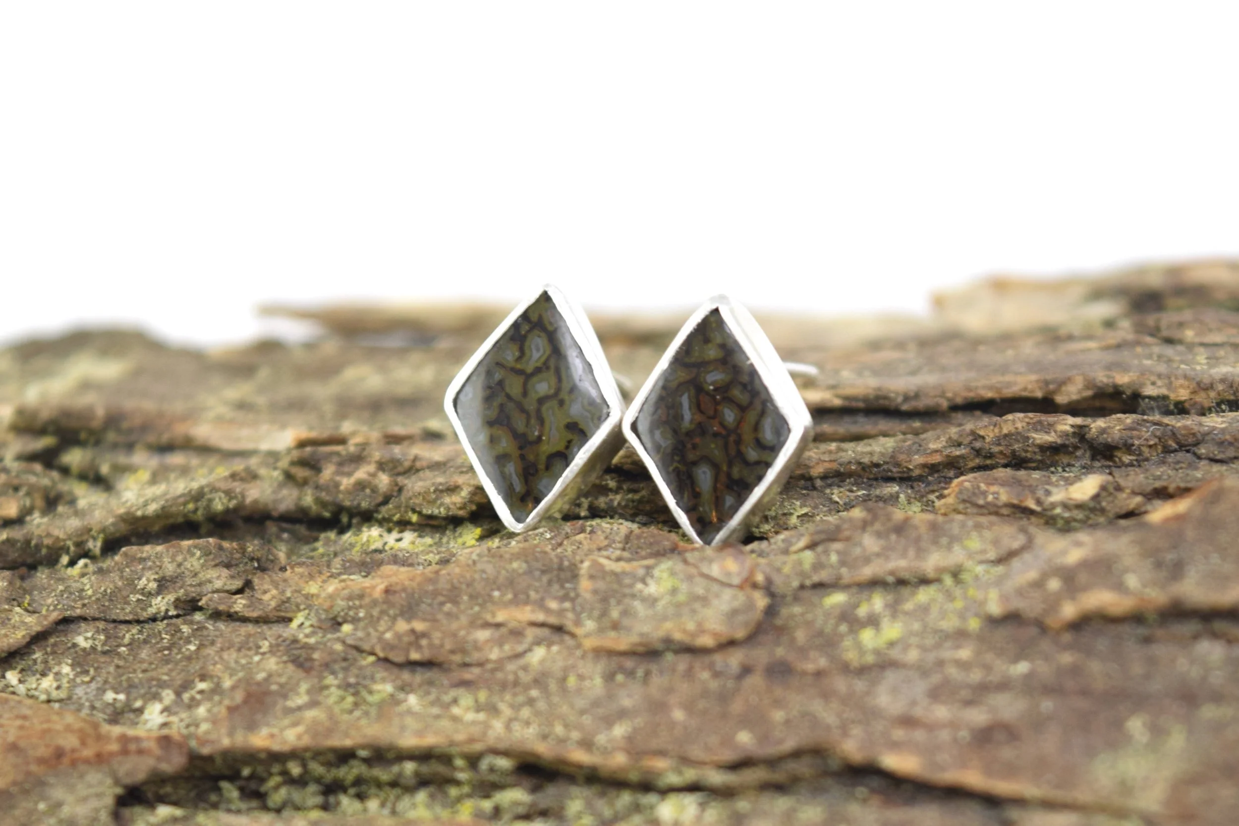 Dinosaur Bone Diamond Studs