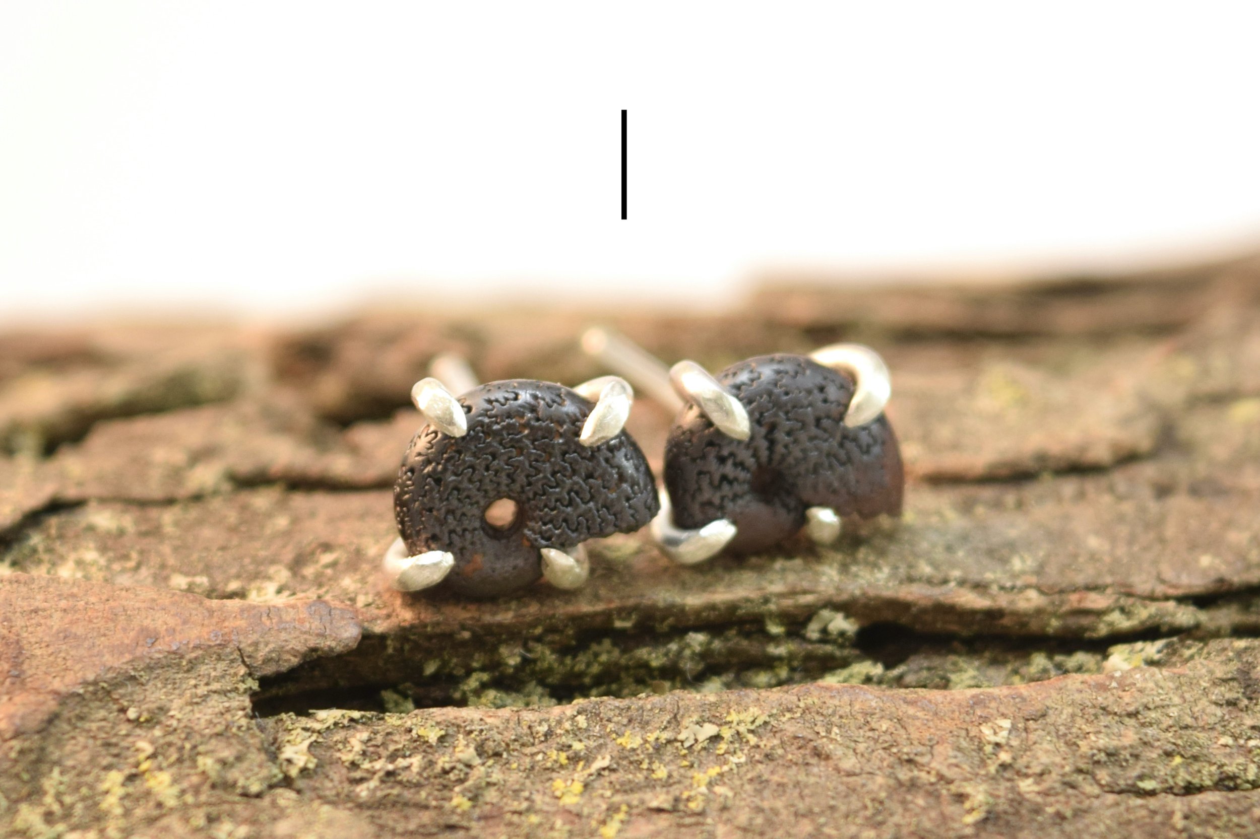 Hematite Ammonite Stud Earrings (6).jpeg