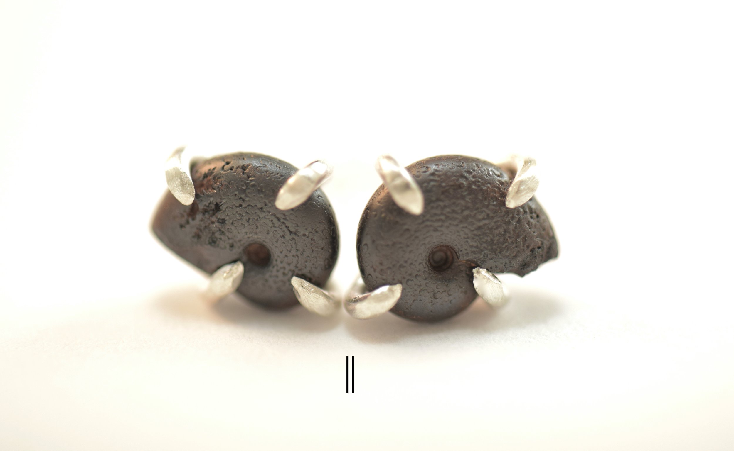 Hematite Ammonite Stud Earrings (2).jpeg