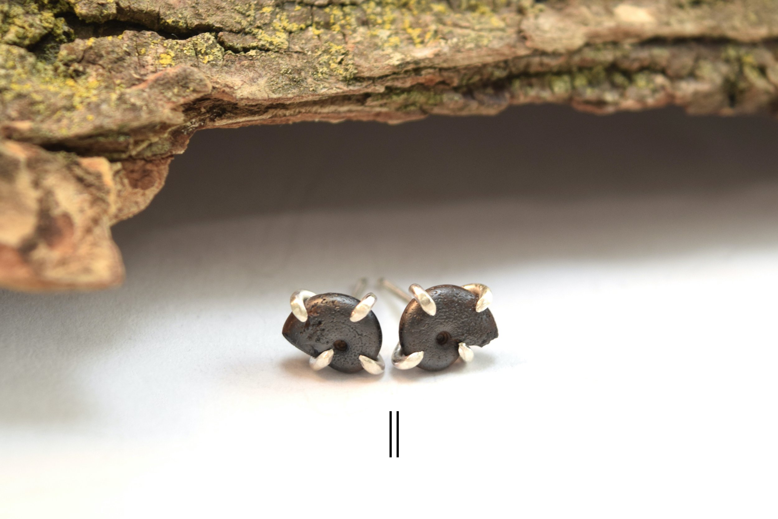 Hematite Ammonite Stud Earrings (9).jpeg