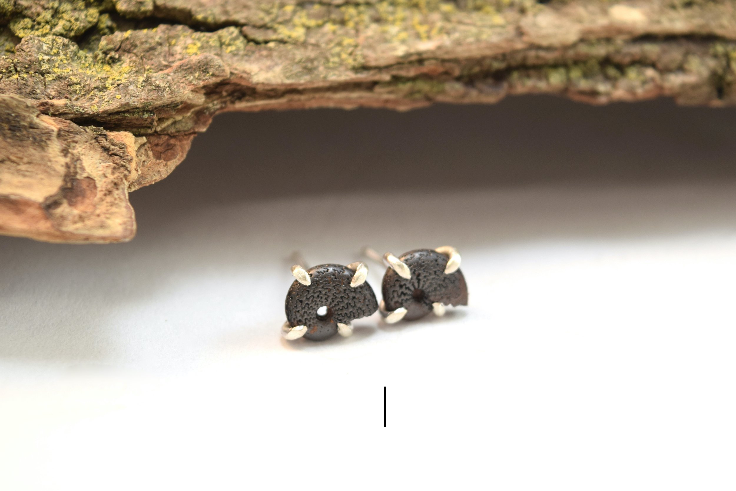 Hematite Ammonite Stud Earrings (8).jpeg