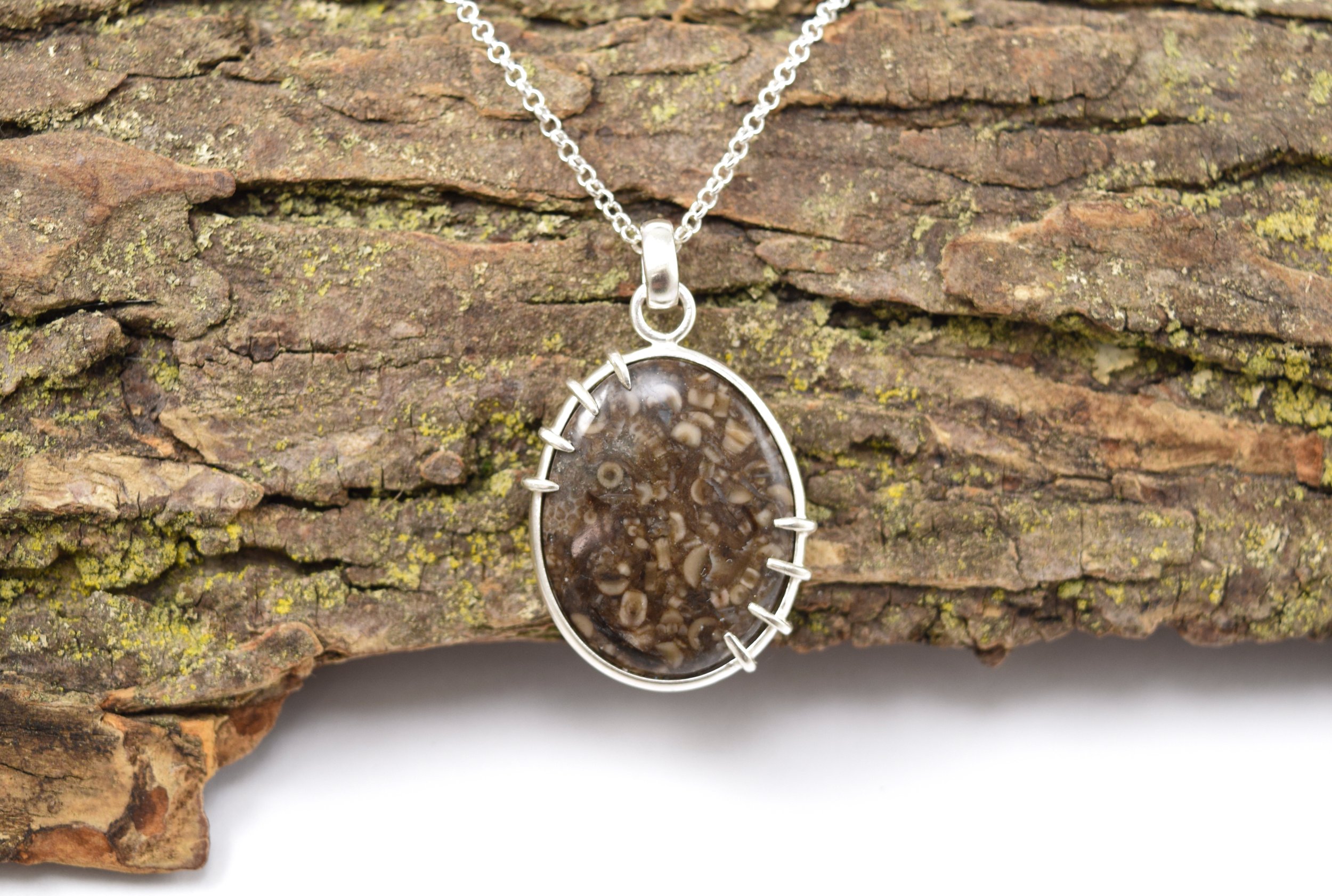 Sea Bed Crinoid Stem Necklace.jpeg