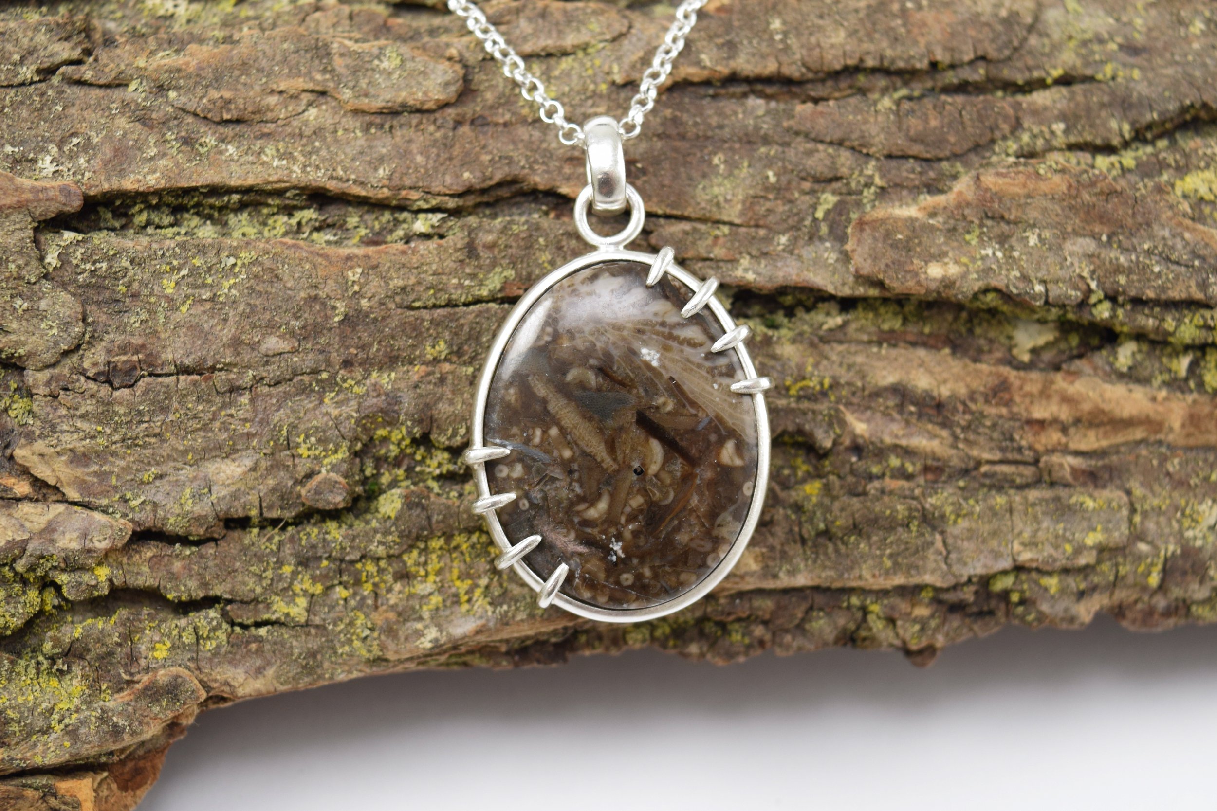 Sea Bed Crinoid Stem Necklace (3).jpeg