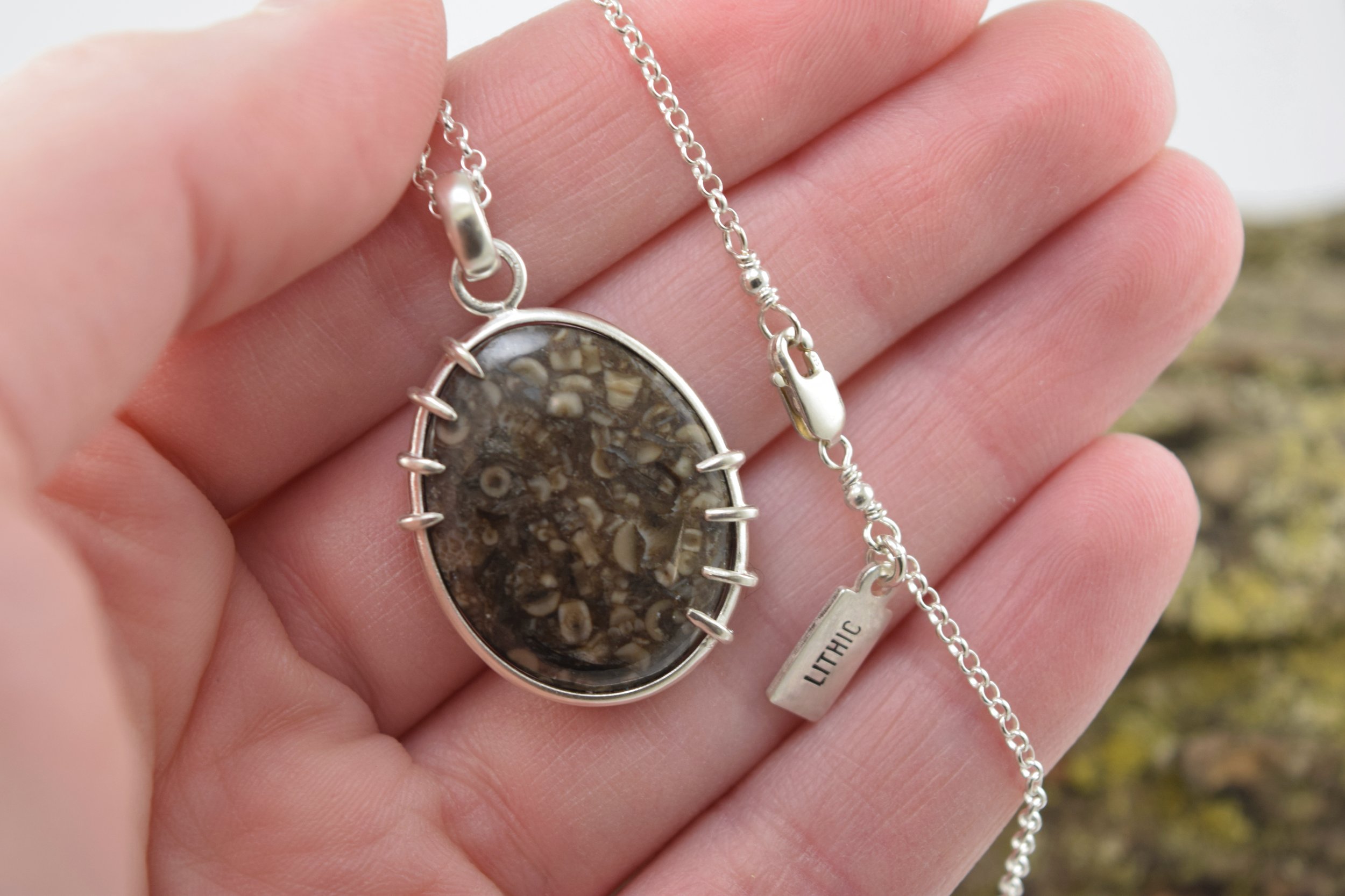 Sea Bed Crinoid Stem Necklace (5).jpeg