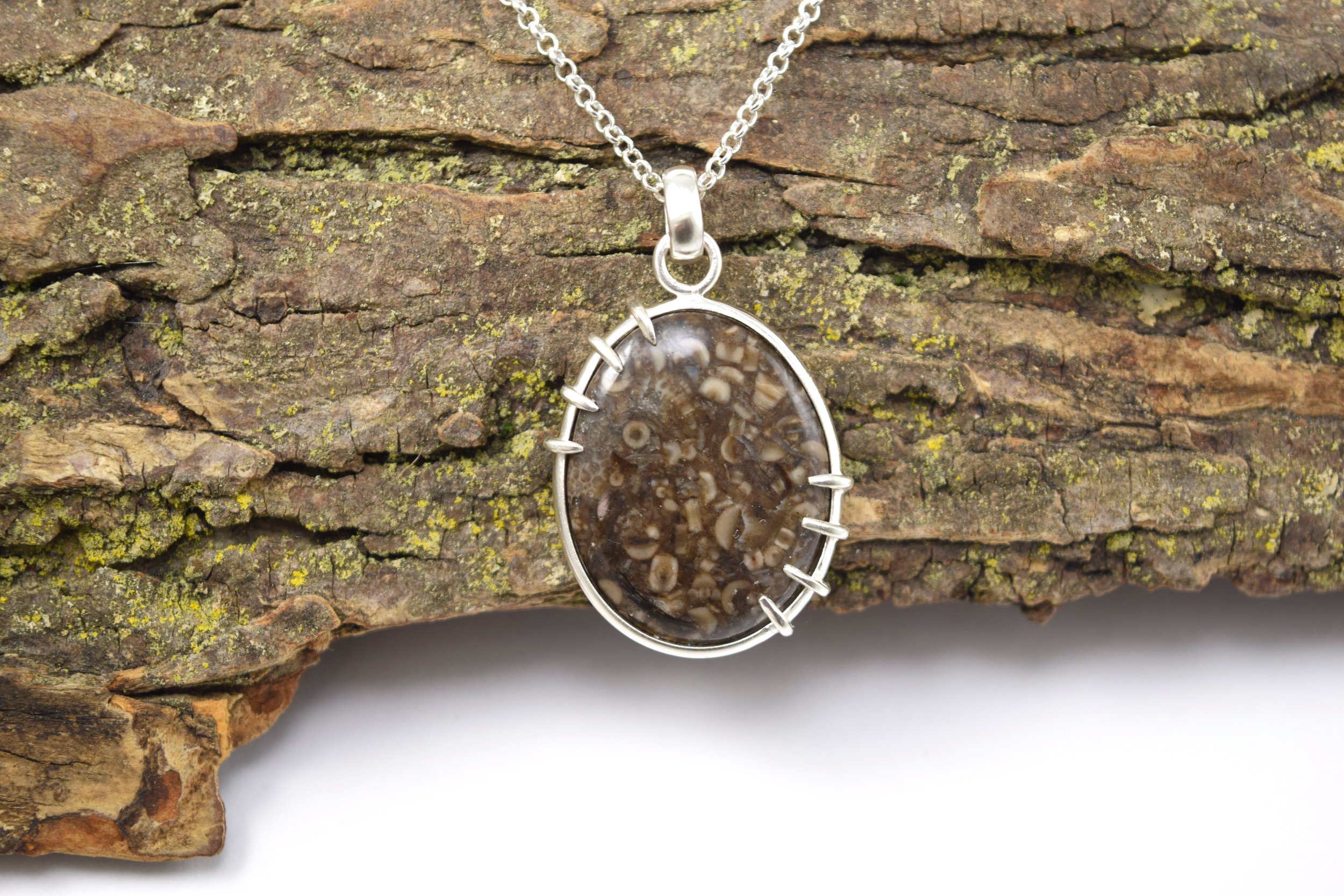 Sea Bed Crinoid Stem Necklace (2).jpeg