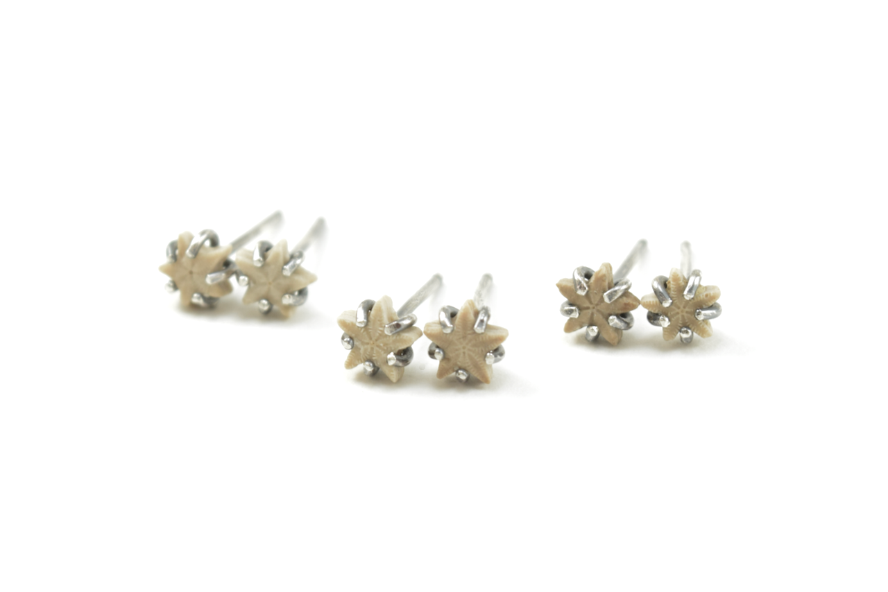 Light Crinoid Star Earrings June 2026 (1).png