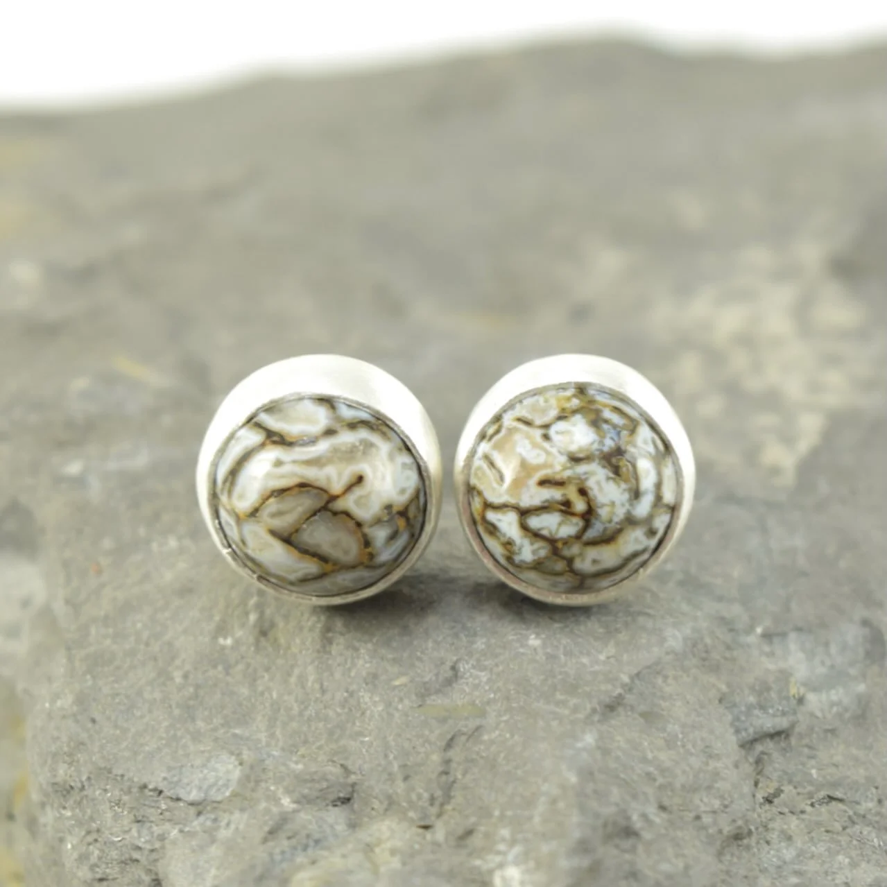 New dinosaur bone stud earrings were added in the shop update this week. I loved working with this silver and black material that has such well defined, agate-replaced cells. You can see the clear divide between agate bands and quartz center in many 