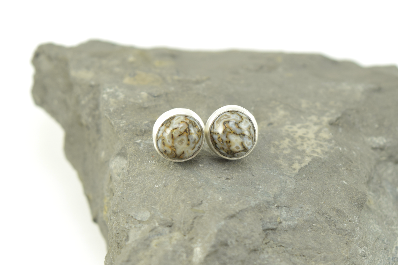 Dinosaur Bone Studs 2026 - II (3).png