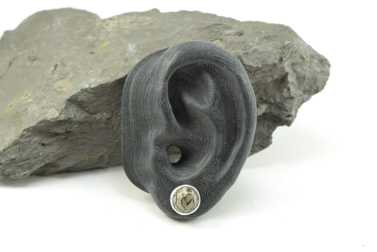 Dinosaur Bone Studs 2026 - III (2).png