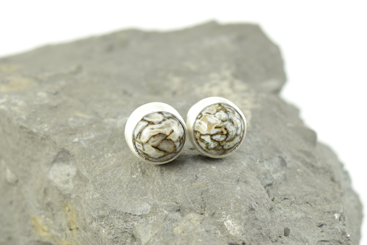 Dinosaur Bone Studs 2026 - III (1).png