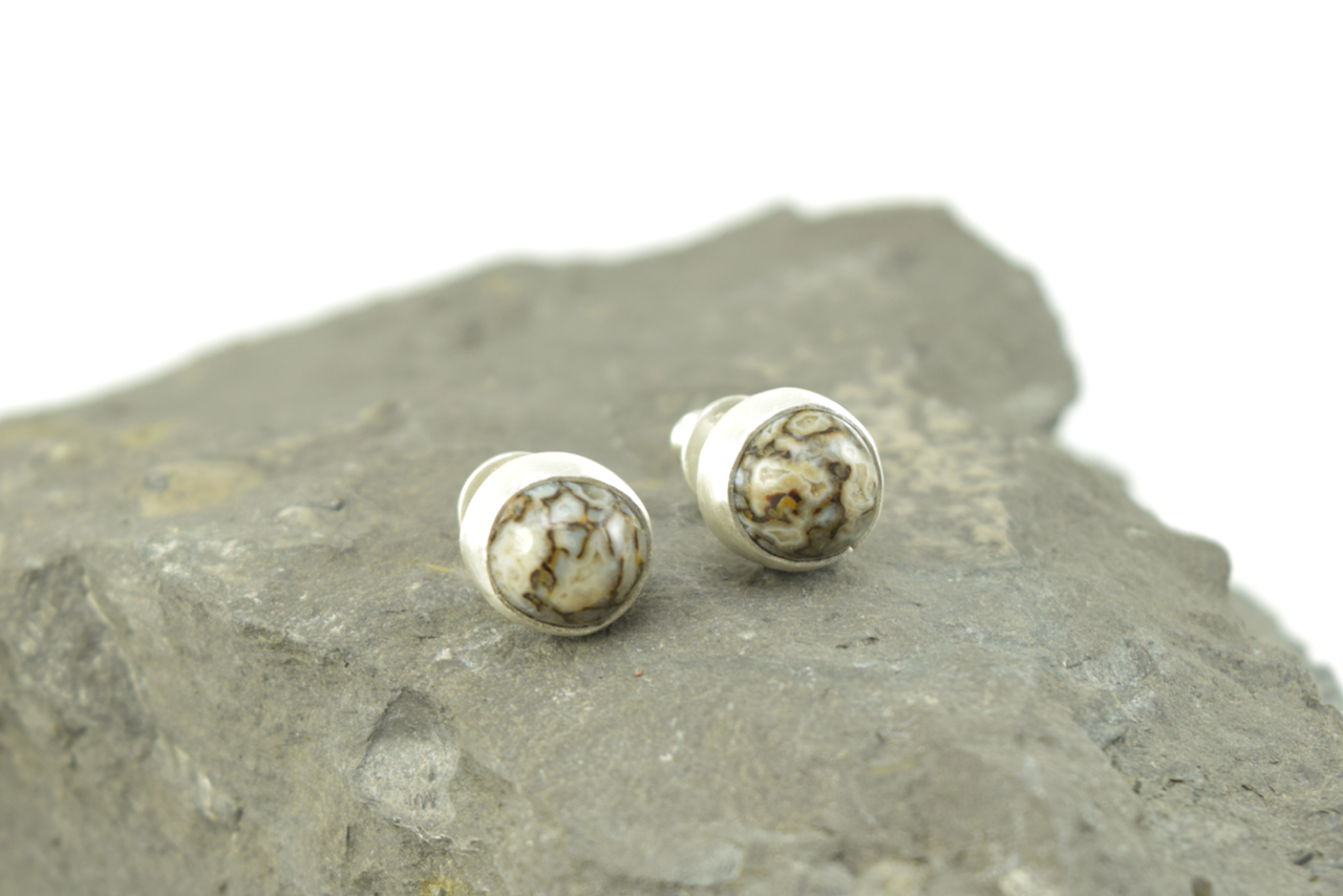 Dinosaur Bone Studs 2026 - I (6).png