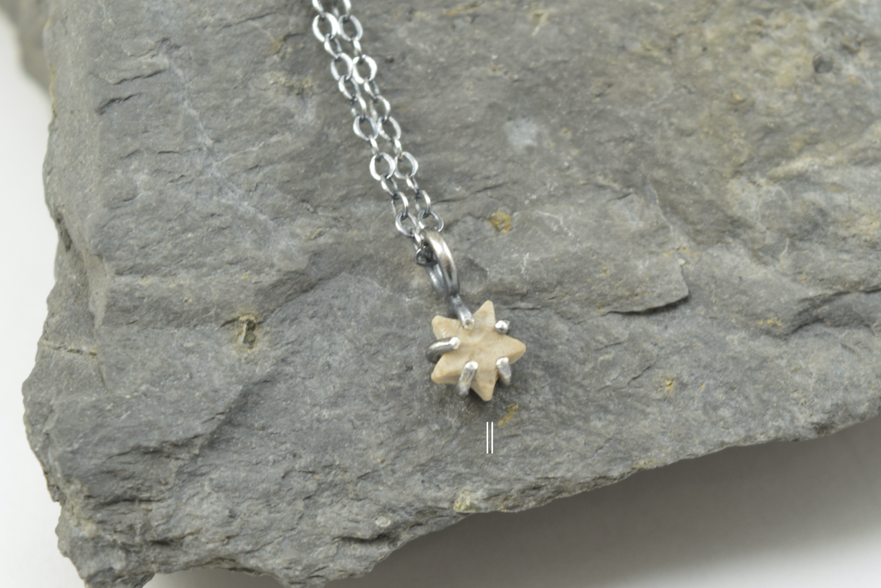 Light Star Crinoid Necklaces June 2026 II.png